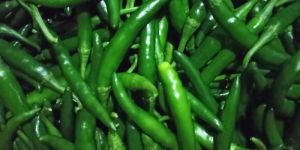Green Chilli
