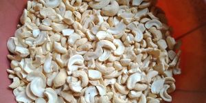 Processed Cashew Nuts