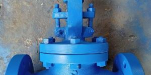 Globe Control Valve