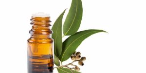 Eucalyptus Oil