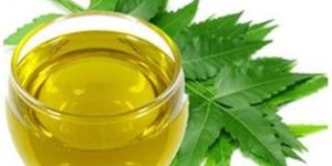 Neem Oil