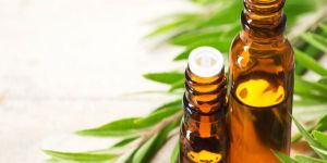Tea Tree Oil