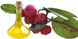 Wintergreen Oil