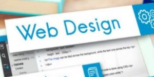 Diploma in Website Designing