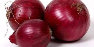 Fresh Onion