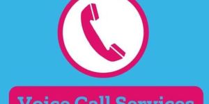 Bulk Voice Calls Services