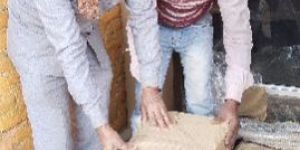 Loading Unloading Services