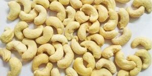 SW 450 Cashew Nuts