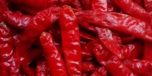 Mahi S-15 Dried Red Chilli