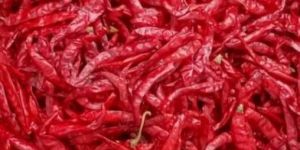 Teja S-17 Dried Red Chilli
