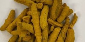 Turmeric Finger