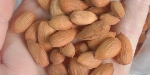 Almonds