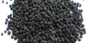 Black Pepper Seeds