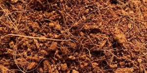 Brown Coir Pith