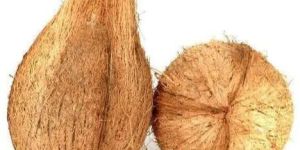 Semi Husked Coconut