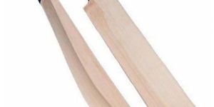 Wooden Cricket Bat