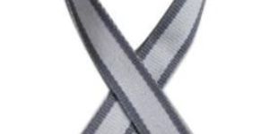 School Canvas Belt