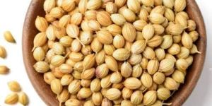 Coriander Seeds
