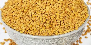 Fenugreek Seeds