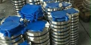 Stainless Steel Flanges