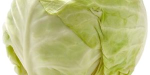 Fresh Cabbage