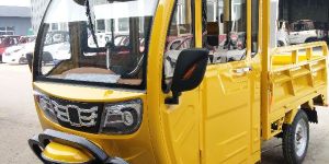 Electric Cargo Rickshaw