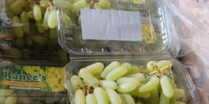 Fresh Seedless Grapes