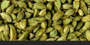 Organic Cardamom