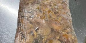 Frozen Chikoo Slices