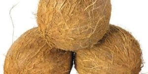 Fully Husked Coconut