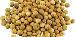 Coriander Seeds