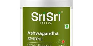 Ashwagandha 500mg Tablets