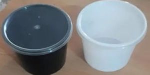 Disposable Plastic Food Containers