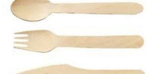 Disposable Wooden Spoons