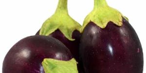 Fresh Brinjal