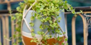 Clay Hanging Garden Planter Table Planter