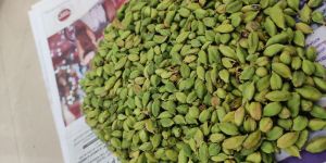 Green Cardamom