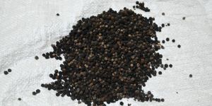 Black Peppercorns