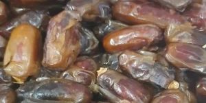 FRESH BARHI DATES
