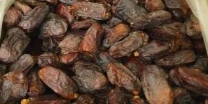 Fresh Khudri Dates