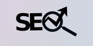 Search Engine Optimization