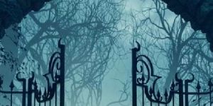 Book Covers Designing