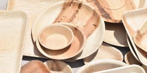 Areca Leaf Plates Square 10,8,6,4 Inches