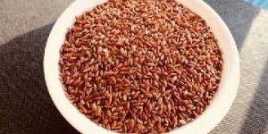 Organic Navara Rice