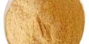 Beancurd Yeast Powder