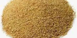 Soybean Meal