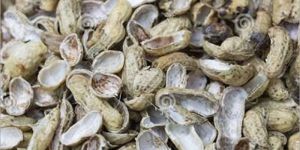 Groundnut Shell