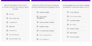 Social Media Management Services