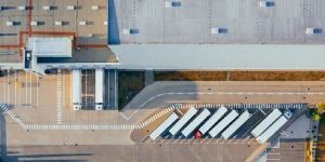 Economic Free Zone Non-Industrial Business Startup