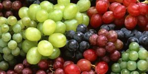 Fresh Grapes